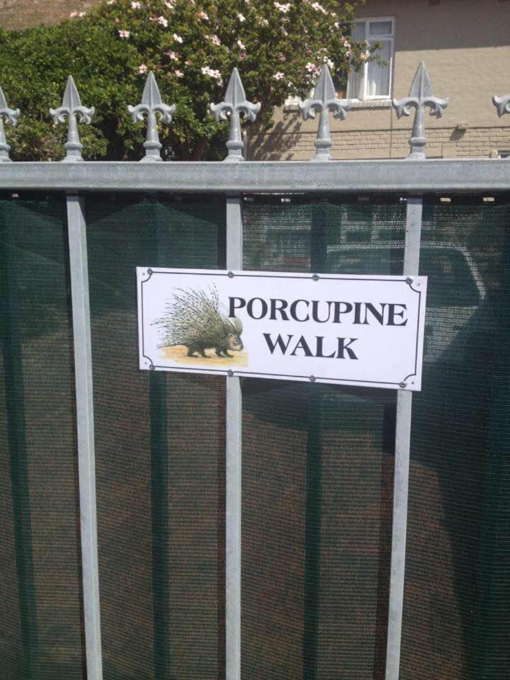 Porcupine Walk Apartment Simonʼs Town Екстериор снимка